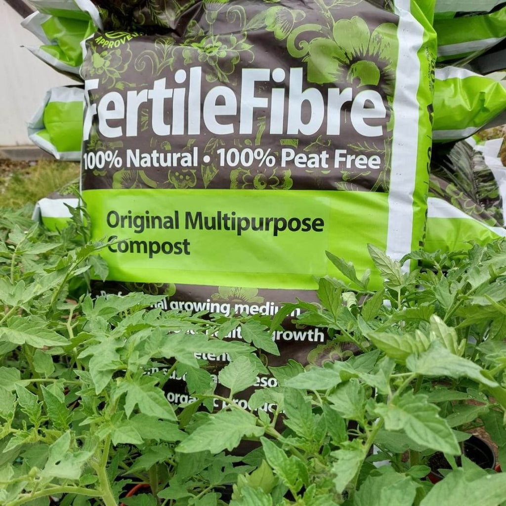 Tomatoes thrive in FertileFibre