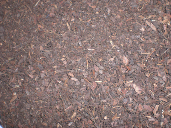 Grow Bark