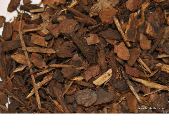 Grow Bark