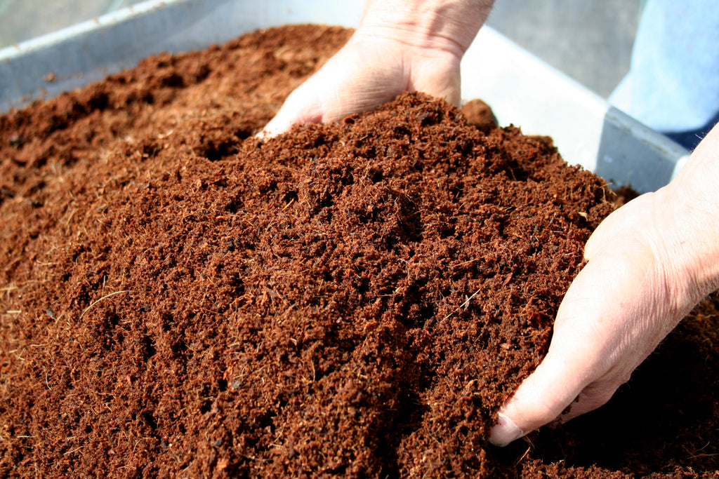 What's best: Multipurpose, Potting, Seed Compost?