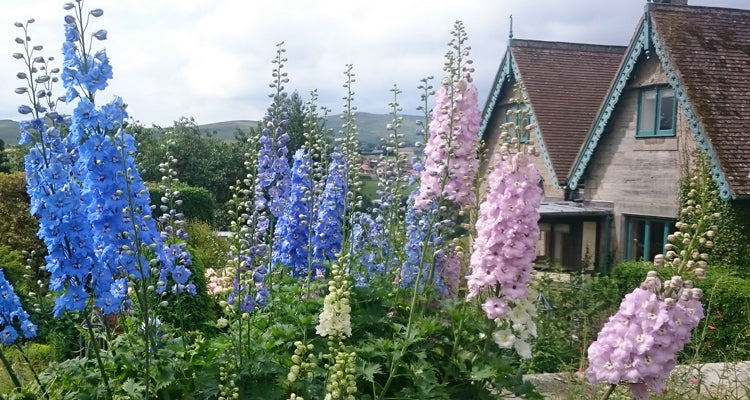 Focus on: the peat-free gardening masterpiece Cragside