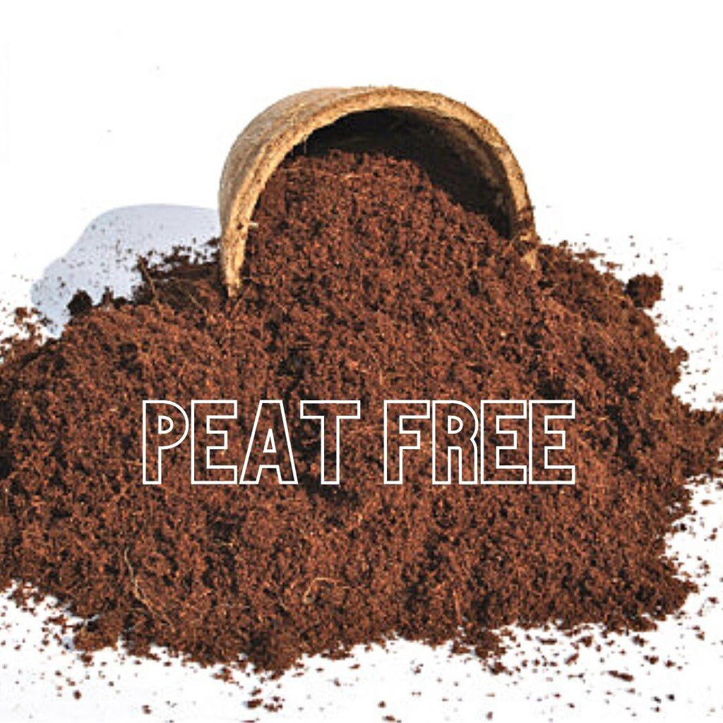 Peat Free, all you need to know!