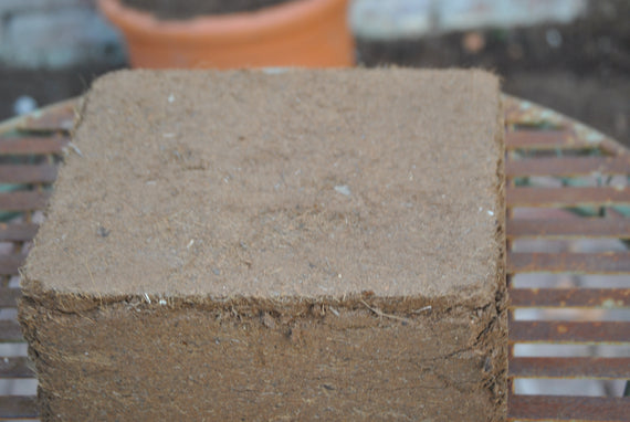 Coir Block Square 2 Litres