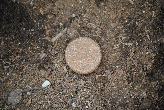 4cm Coco Coir Disc - 1710 In A Box