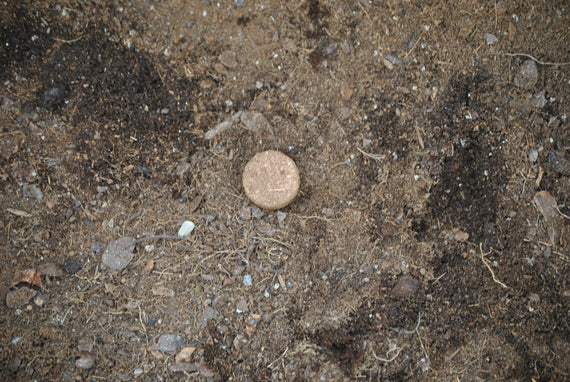 Coir Cocopeat Disc 3cm